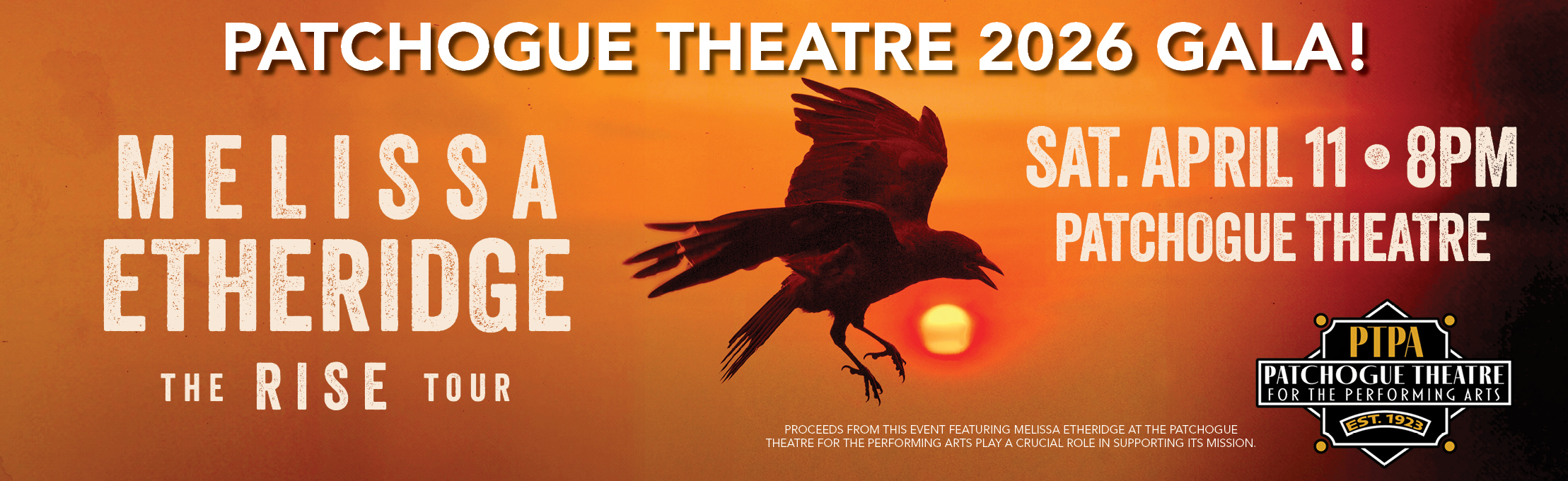 Melissa Etheridge: RISE